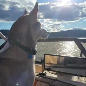 Meet your Posher, Tyler